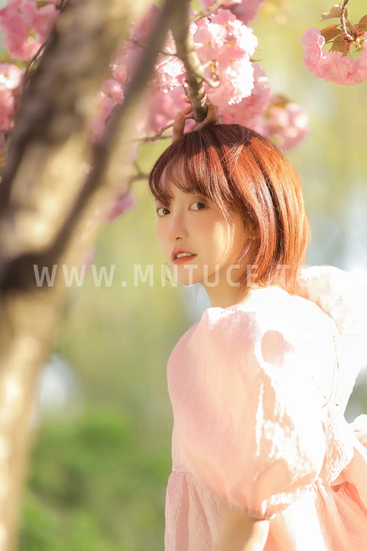 [YITUYU] 2022.07.08 Vol.1421 – Sakura Fall Cheng Fan#[21P]-19